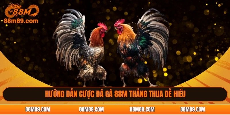 Hướng dẫn cược đá gà 88M thắng thua dễ hiểu