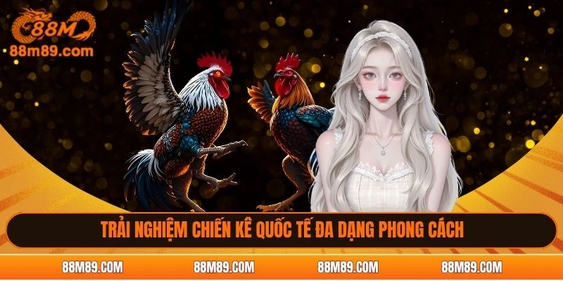 Trải nghiệm chiến kê quốc tế đa dạng phong cách